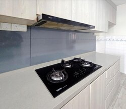 Blk 903 TAMPINES PALMSVILLE (Tampines), HDB 5 Rooms #508051431